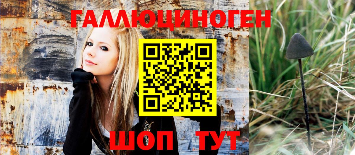 Псилоцибиновые грибы MAGIC MUSHROOMS  Вход с VPN  Ступино 